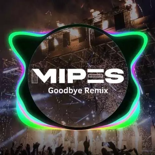 goodbyes-remix